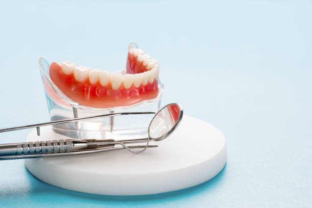 Best Preventive Dentistry  in Somers, MT